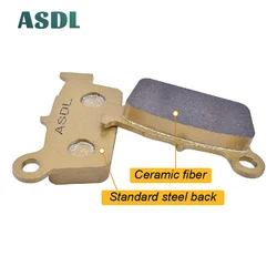 Motorcycle Parts Rear Brake Pads For BETA RR Motard 50 2012-2013 R RR Enduro 50 RR Motard 125 4T Urban 125 Special RR 250 Enduro