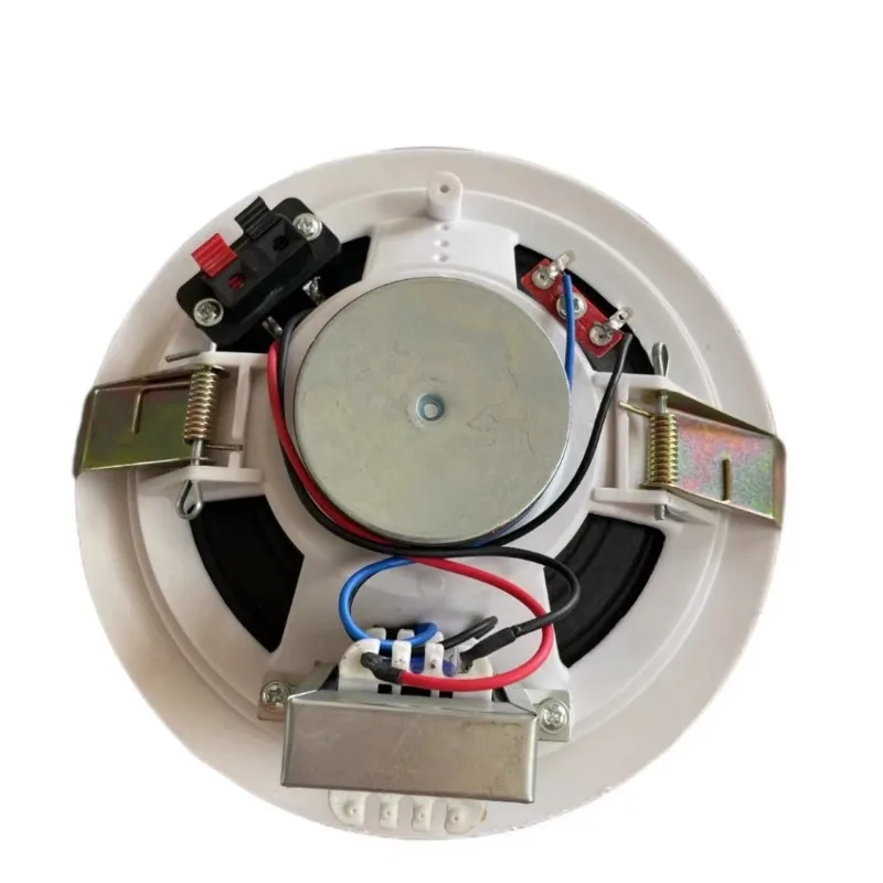 Manufacturer wholesale full-range speakers audio plastic passive speakers custom hoisting speakers