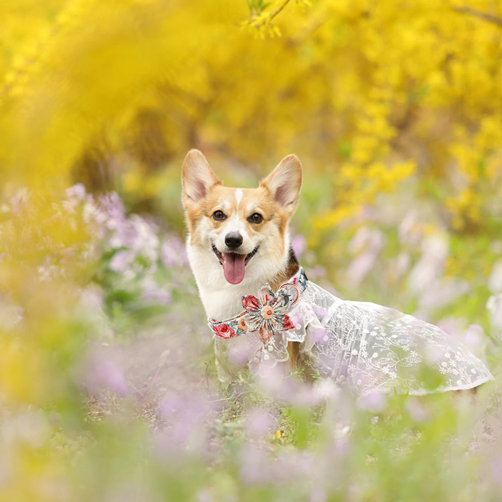 Elegant little tail Vintage Floral Dog Collar with Bow Comfortable Dog Bowtie Dog Collar Bow Adjustable Dog Collars Dog Leashs