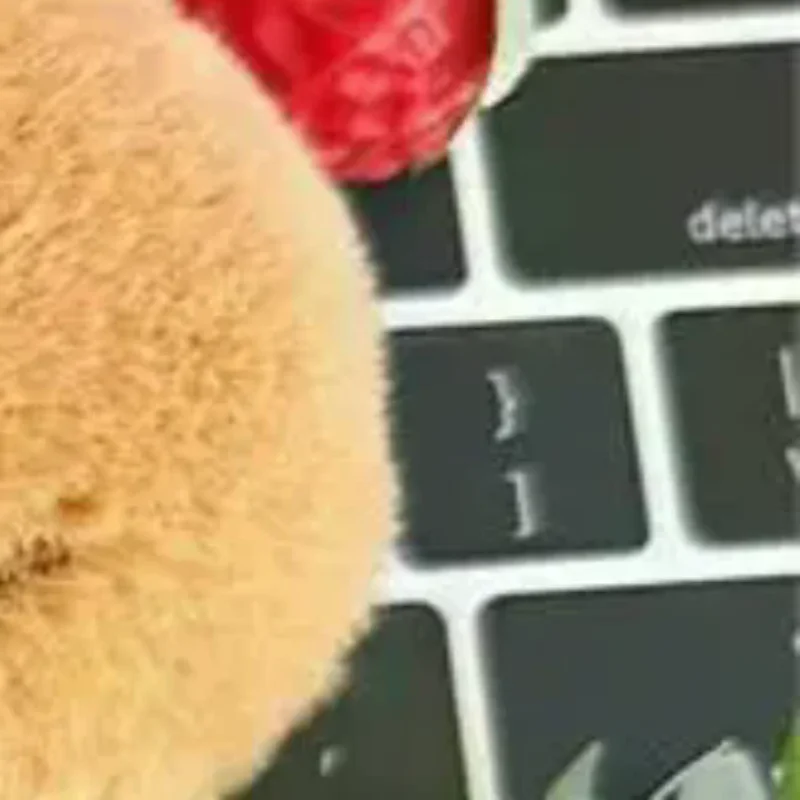 Cute Creative Squeaky Capybara Plush Doll Stuffed Toy Keychain Pendant Bag Hang Ornament Girly Backpack Charm Kids Birthday Gift