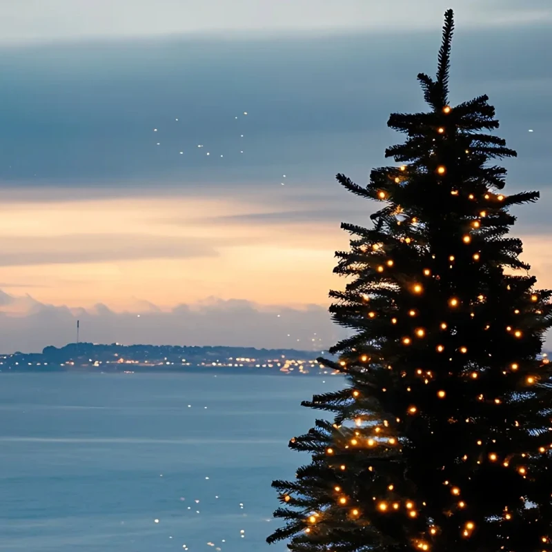 

Цифровой сервопривод PDI-HV7223MG, крутящий момент-23 кг, 8,4 В, 0,123 сек/60 ° ,Металлическая шестерня, алюминиевый корпус с ЧПУ, водонепроницаемый, для радиоуправляемых автомобилей