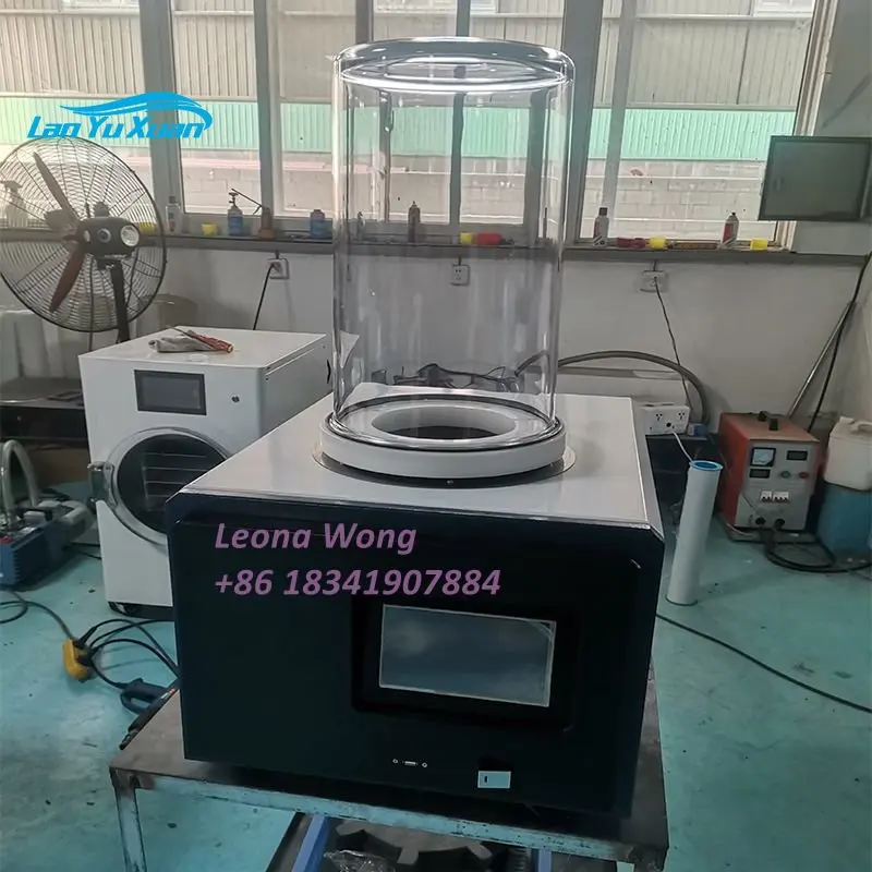 Laboratory Mini Vacuum Lyophilizer Freeze Dryer for Sale Lab Use Vacuum Fruit Vegetable Insect Flower Tea Lyophilizer