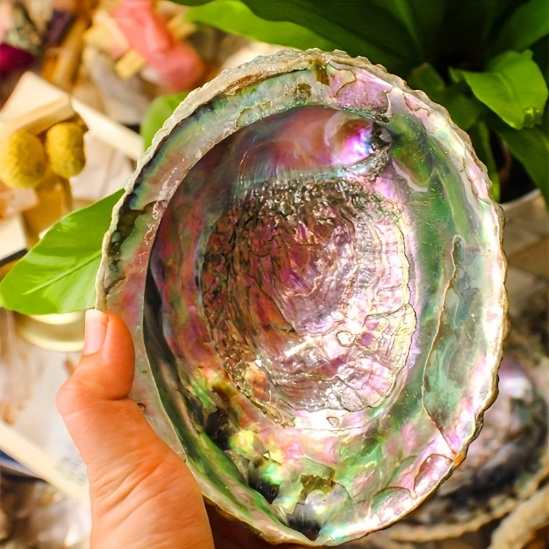 1pc Abalone Shell Bowls - Ideal for Burning, Home & Yoga Decor, Perfect for Camping, Gardens, Patios, and Romantic Dinners