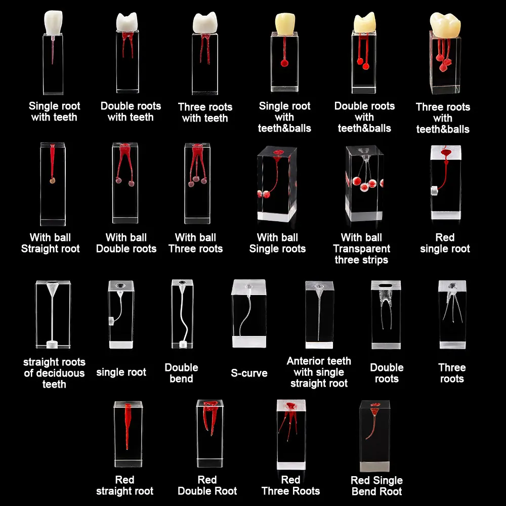 Dental Resin Root Canal Practice Block Simulates the Filling Model of Dental RCT Pulp Clear Transparent Dentist Study Tool