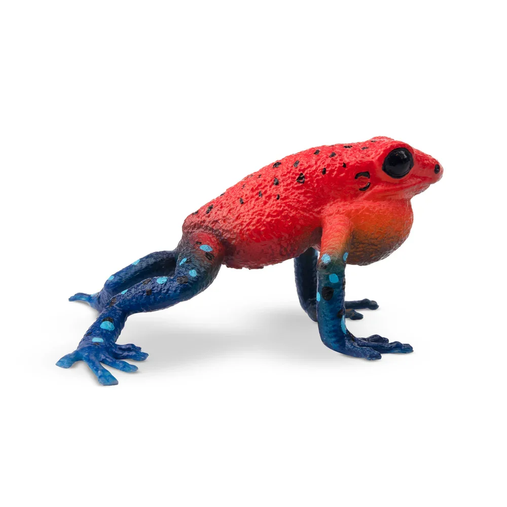 Toymany Simulation Strawberry Poison-Dart Frog Reptile Realm Animal Model Toy Mini Figures Dolls Action Figurines Toys Children