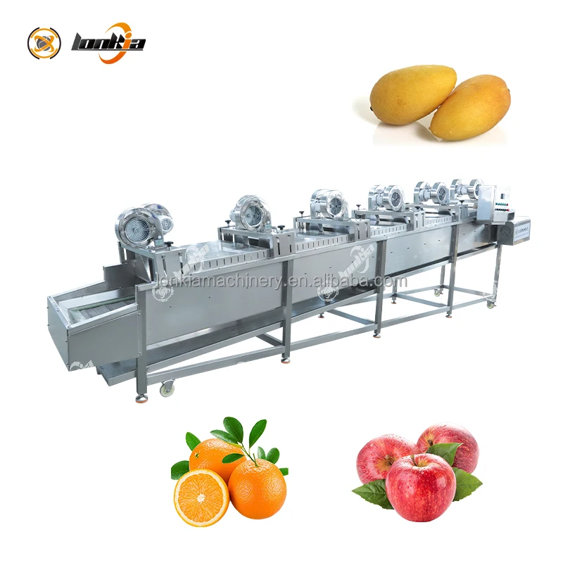 Industrial Lemon Washing Waxing Machine | Citrus Sorting and Packing Line | Fresh Fruit Grading Equipment