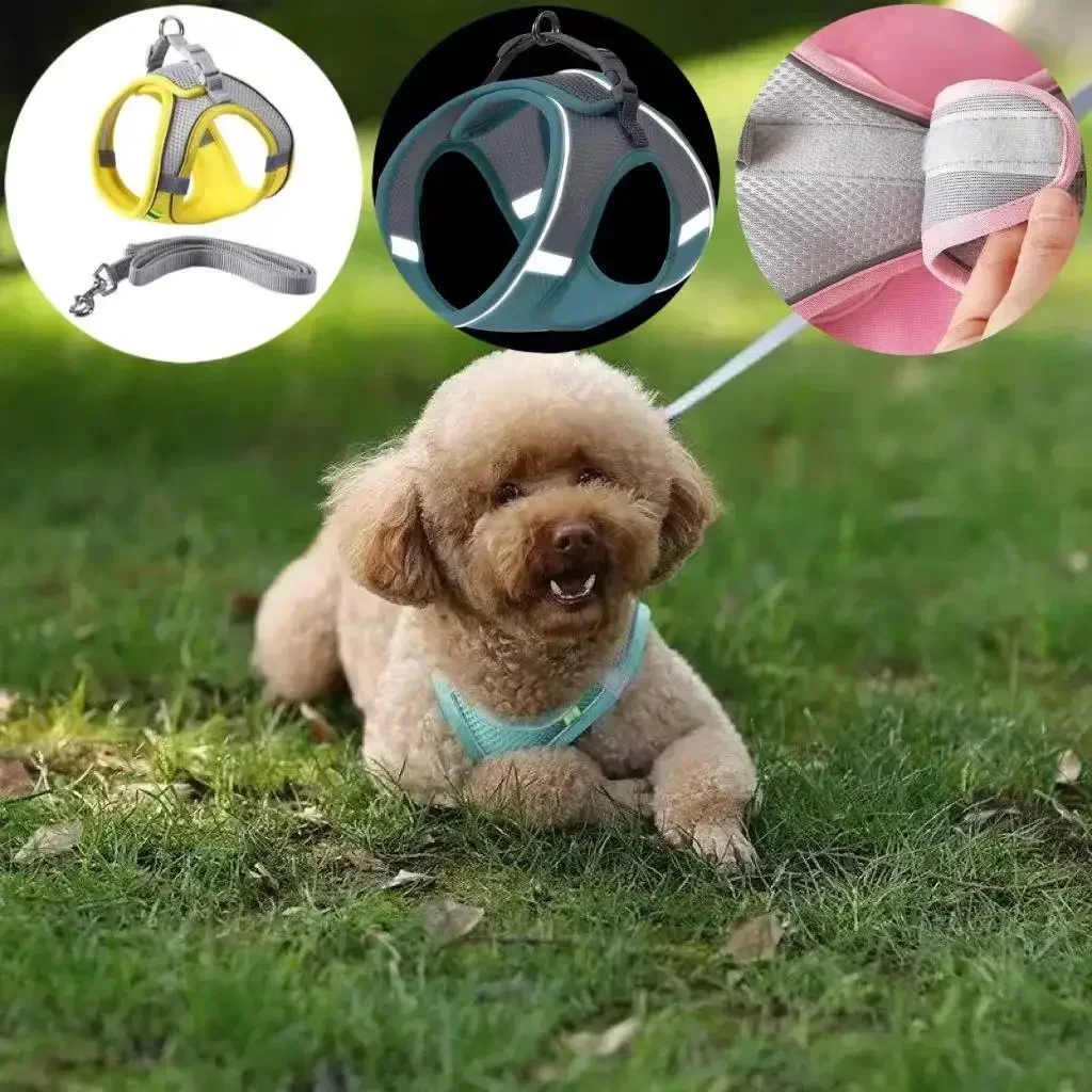 Adjustable Puppy Cat Harness Vest Dog Harness Leash Set for Small Dogs French Bulldog Chihuahua Pug Outdoor Walking Lead Leash