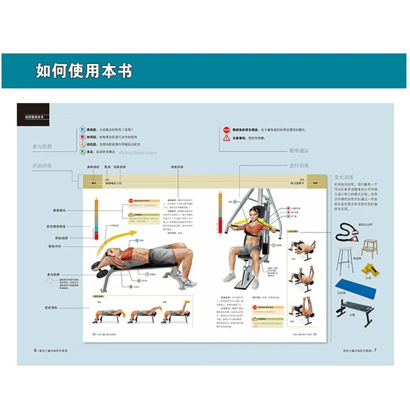 Muscle Strength Training Color Map Stretching Training Book Muscle Training Map Fat Reduction and Muscle Gain Book