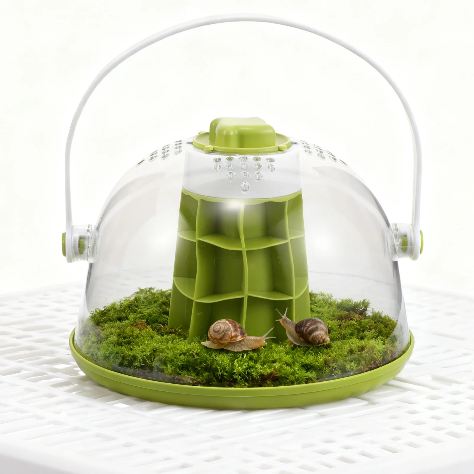 

Portable Snail Terrarium 20Cm Transparent Insect Observation Habitat Starter Kit for Garden Snails Micro Breeding Environment