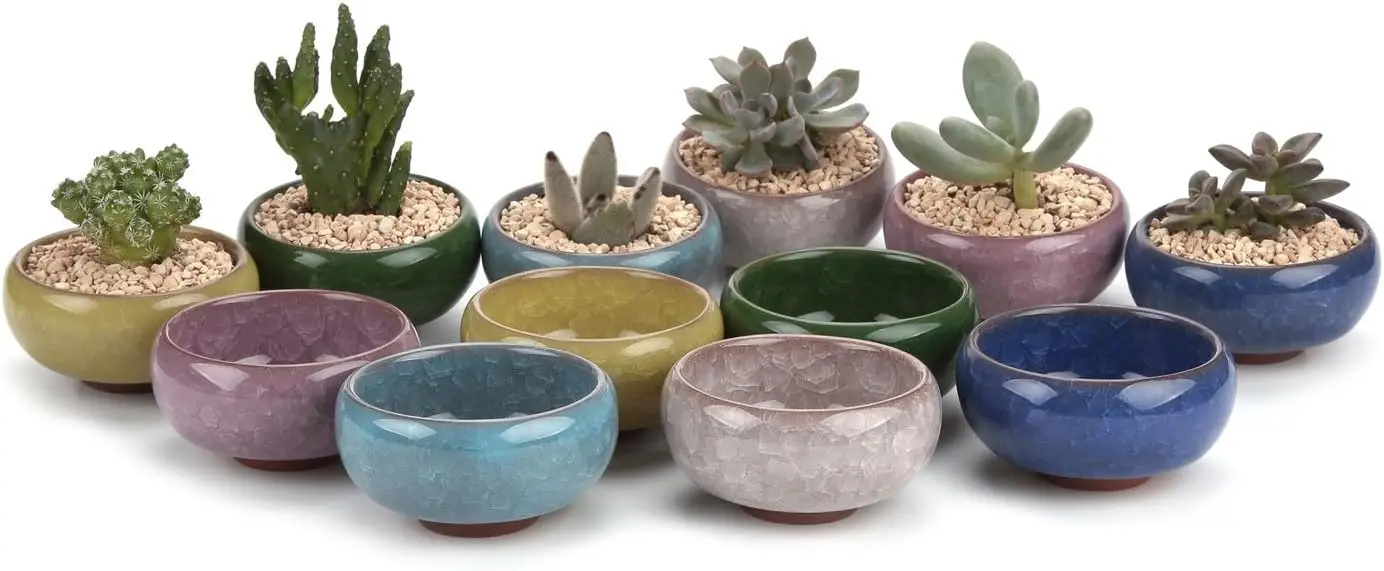2.5 Inch Small Ceramic Succulent Planter Pot with Drainage Hole Set of 12, Ice Crack Glaze Plant Container for Plant Lover Gifts