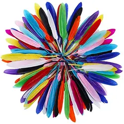 Colorful Natural Goose Feather 4-6 Inch /10-15 Cm 50/100Pcs DIY Carnival Feathers For Costume Headress Mask Crafts Home Plumas