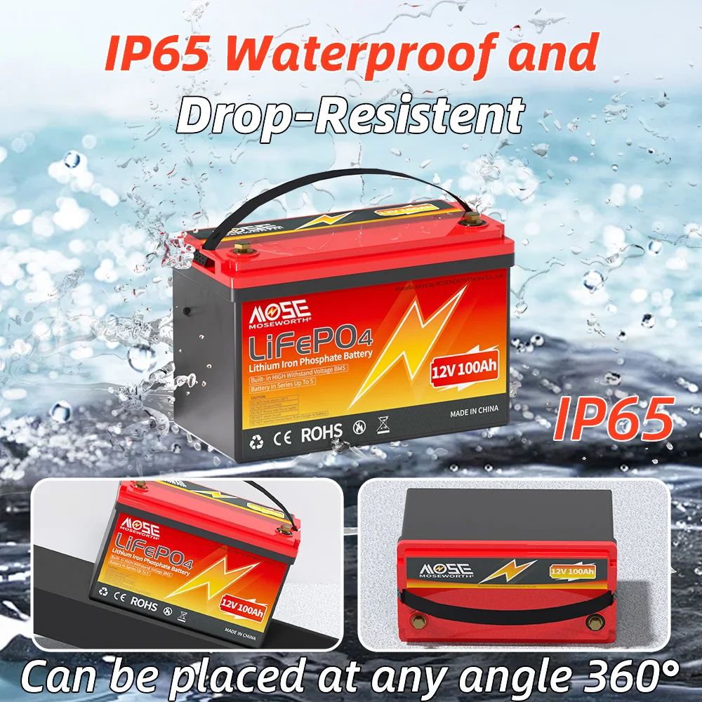 12V 100Ah LiFePO4 Battery Built-in Bluetooth BMS Lithium Iron Phosphate Rechargeable Battery Backup Power for RV Campers Solar