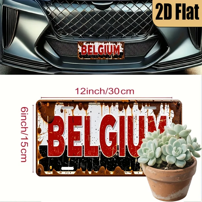 [ Activation] 2D Flat, 1pc, 2D FLAT, for Decoration Solely, Vintage Style Plaque 