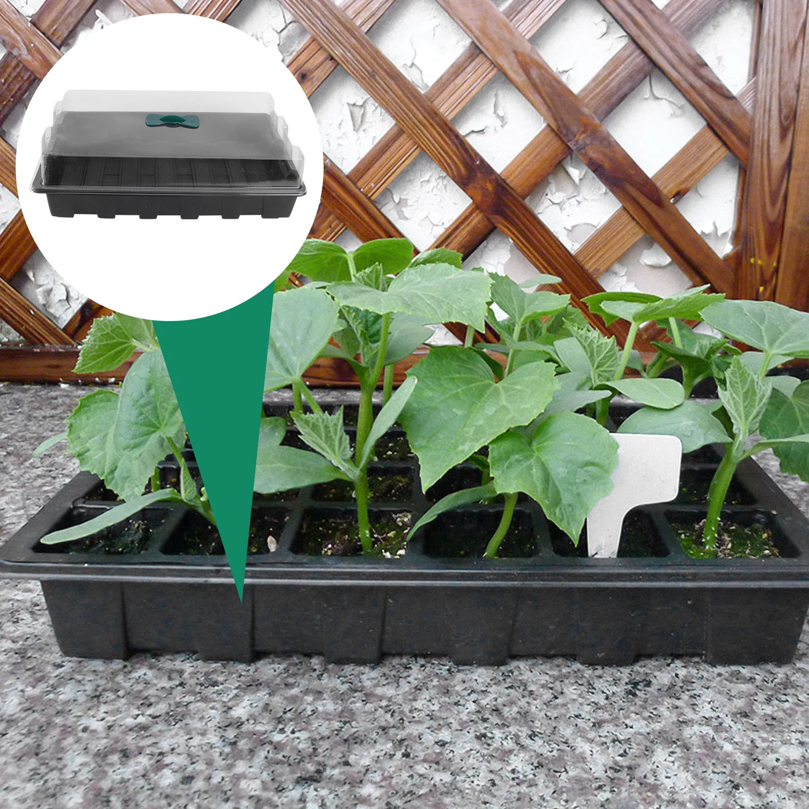 

3Sets Seedling Tray Kit 24-Hole Black Plastic PVC Germination Box for Growing Microgreens Succulents Salad Leaves Garden