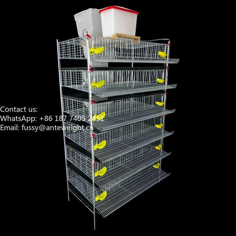 Automatic Quail Cage, Vertical Stackable Layer with Feeder Waterer & Egg Collector, Manure Cleaning System for Farming Equipment