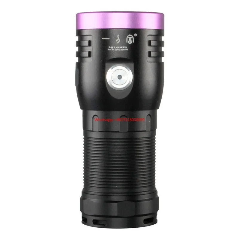 

Looook Store UV Flashlight Seoul Imported Wick UV Black Filter 120W High Power 365 Purple Light Special for Identification