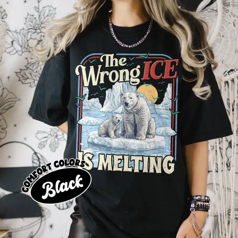 The Wrong ICE Is Melting Comfort Shirt TShirt, Ice Melting Tee, Protect Immigrant T-shirt