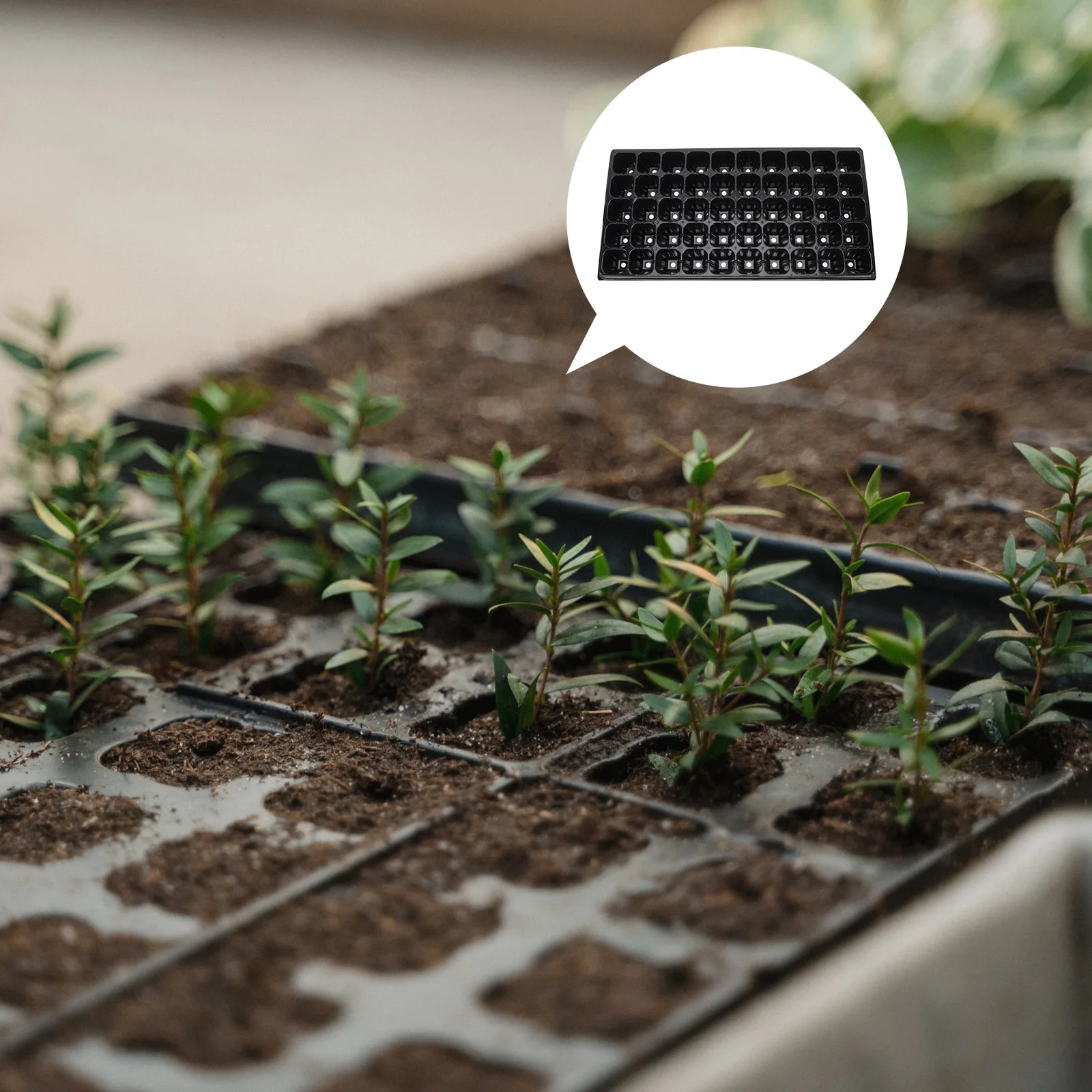 

10pcs Premium Plastic Plant Germination Tray Durable Seedling Starter Gardening Sprouting Tool Greenhouse Garden Vegetable