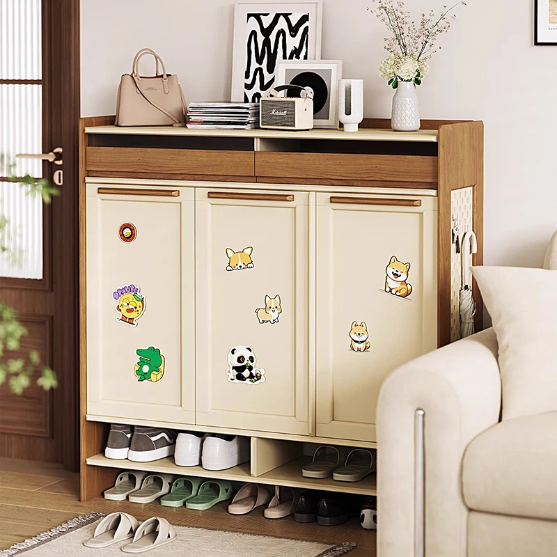 

Designer Luxury Shoe Cabinet Organizer Living Room College Dorm Essentials Shoe Shelf Vertical Gabinete Shoemakers Furniture