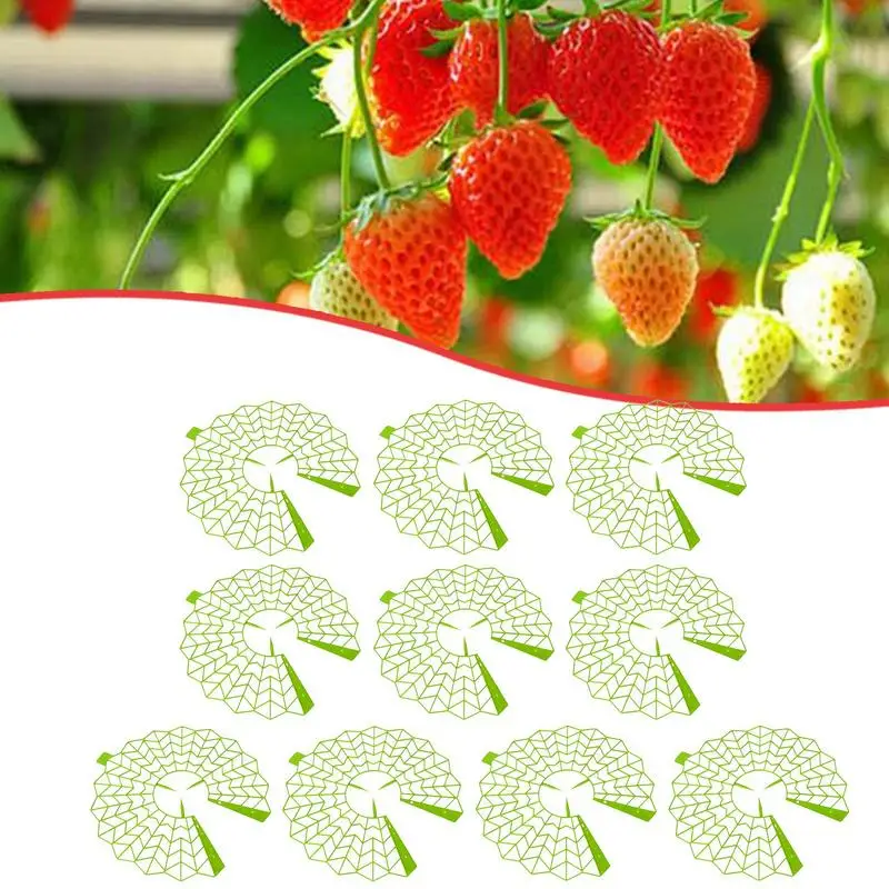 

Strawberry Support 10X Garden Fruit Strawberry Plant Support Vegetables Fruits Protection Weather-Resistant Bracket Cultivation