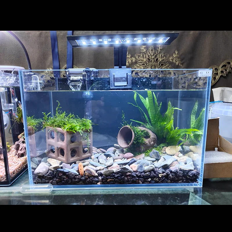 Natural Black Volcanic Stone Aquarium Decorations Fish Tank Landscaping Rocks Decors The Ornament Accessories 100g 200g 500g