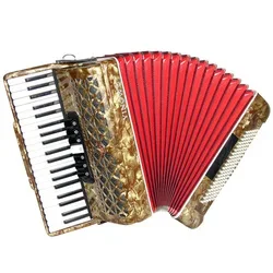 

Hot Selling Three Row Spring 96 Bass 37 Keys Professional Diatonic Accordion