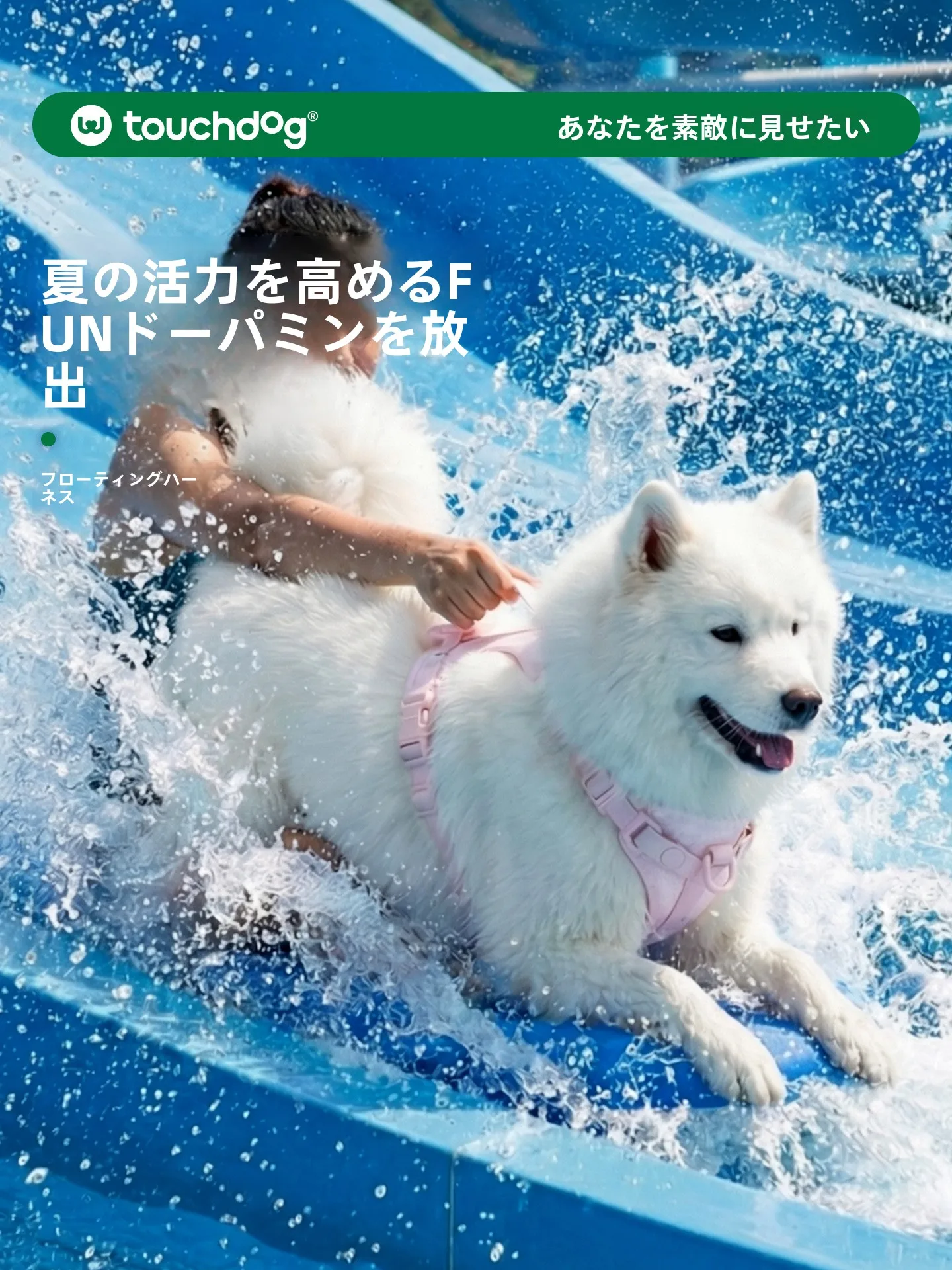 guinzaglio-impermeabile-per-cani-con-giubbotto-galleggiante-per-cani-di-taglia-piccola-e-media-accessori-per-animali-domestici-touchdog-attrezzatura-da-viaggio-per-cani-con-corda-galleggiante