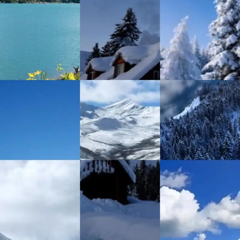 

Hard Disk Drive SSD Adapter Card 4 Port SATA III PCIe Expansion Card 6Gbps SATA to PCI-e 1X Controller with Bracket