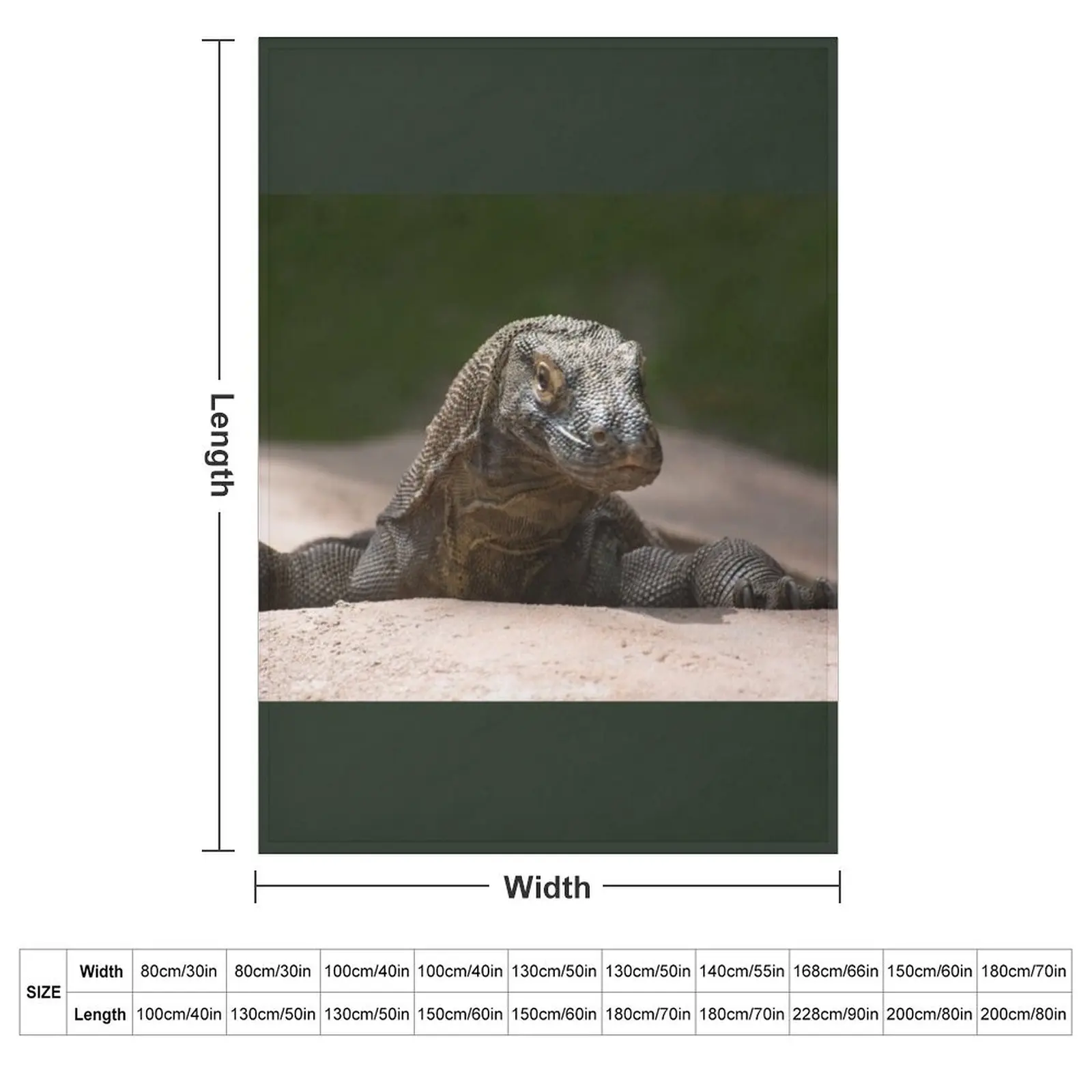 Komodo monitor dragon Throw Blanket wednesday Camping christmas decoration blankets ands Furry Shaggy Blankets