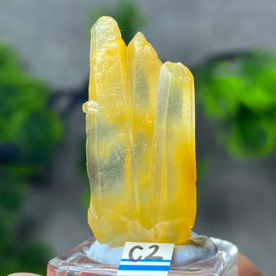 Natural Yellow Rabbit Hair Crystal Mineral Specimen Obelisk Quartz Healing Energy Rock Gemstone Collect  Home Decoratio