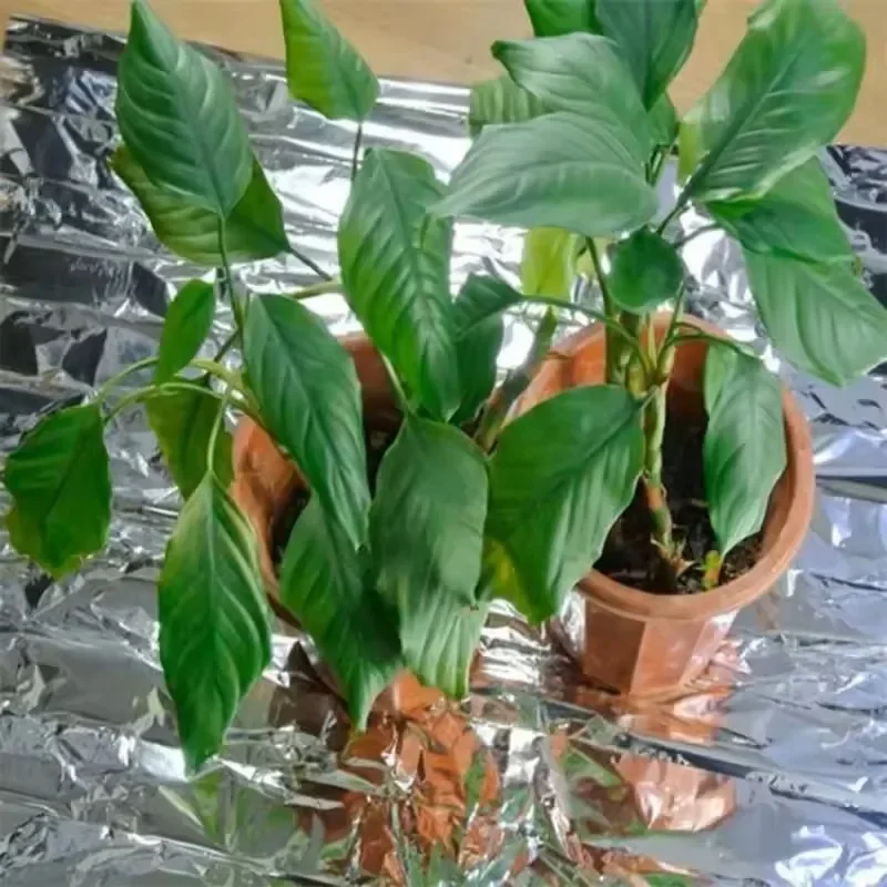 1pc Silver High Reflective Polyester Film Used For Planting Tent Room Garden Greenhouse Agriculture And Promoting
