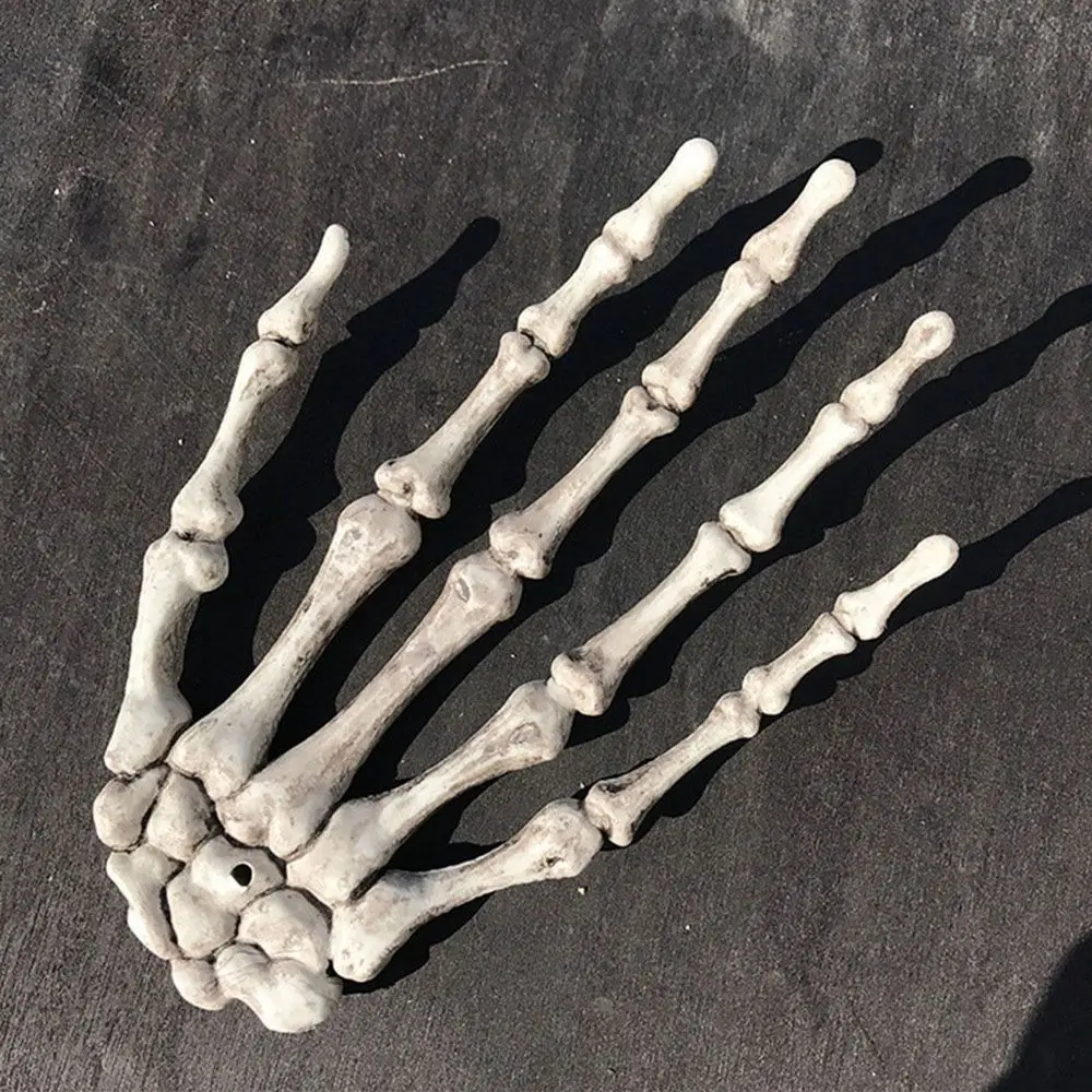 1 Paar schreckliche 4 Größen Home Decor Spukhaus Spiel liefert Foto Requisiten menschliches Skelett Schädel Hand Halloween Requisiten