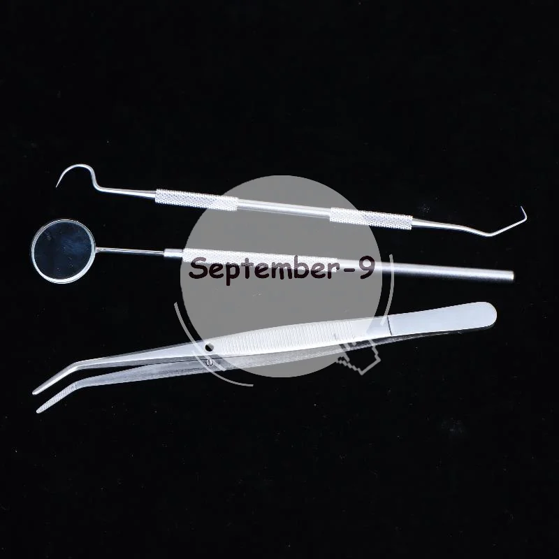 Complete Oral Care Kit 3pcs Stainless Steel Dental Tools for Thorough Teeth Cleaning