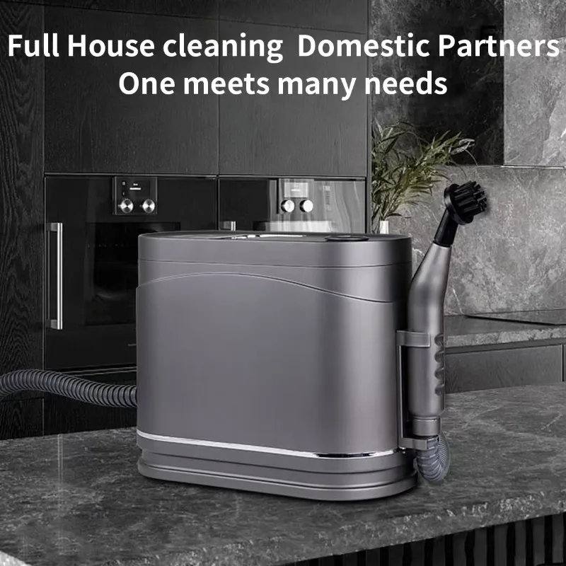 High Temperature Steam Cleaning Range Hood Oil Removal Clothes Ironing Hanging Iron Sofa Cleaning Machine