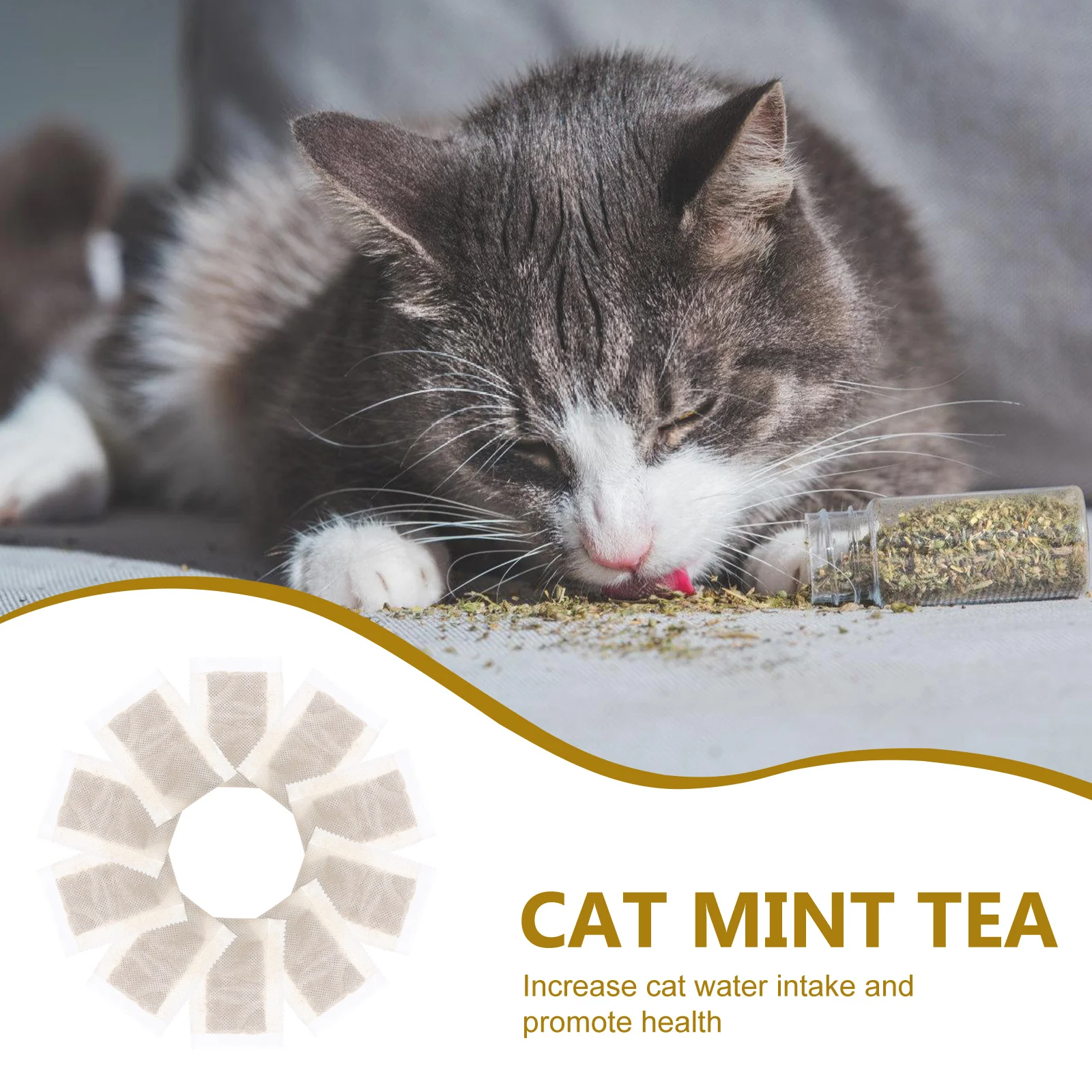 Sachets de thé en herbe de cataire pour chat, litière pour chaton, eau potable, friandises, jouets pour chats, 10 pièces