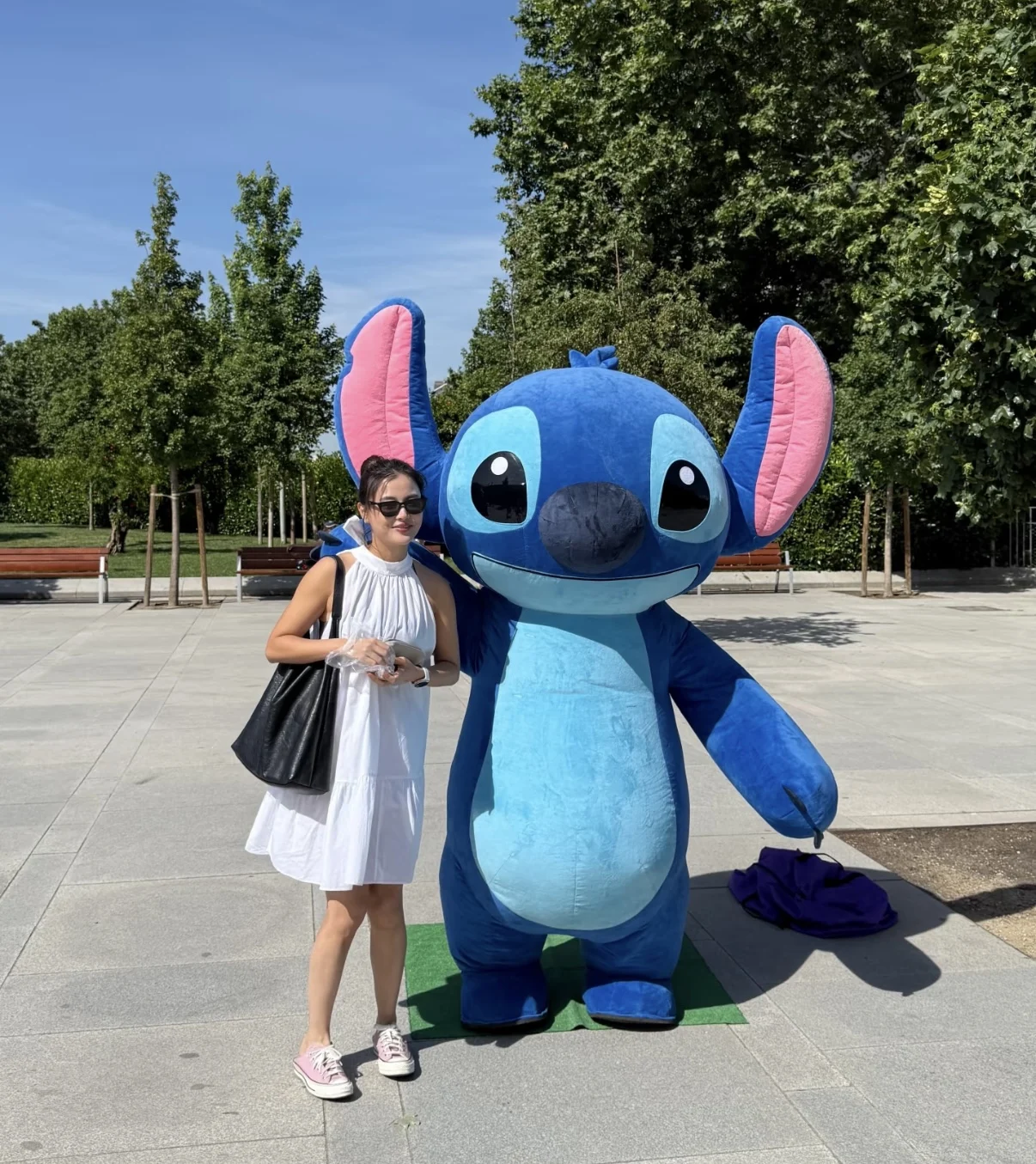 Stitch Mascot Theme Photo