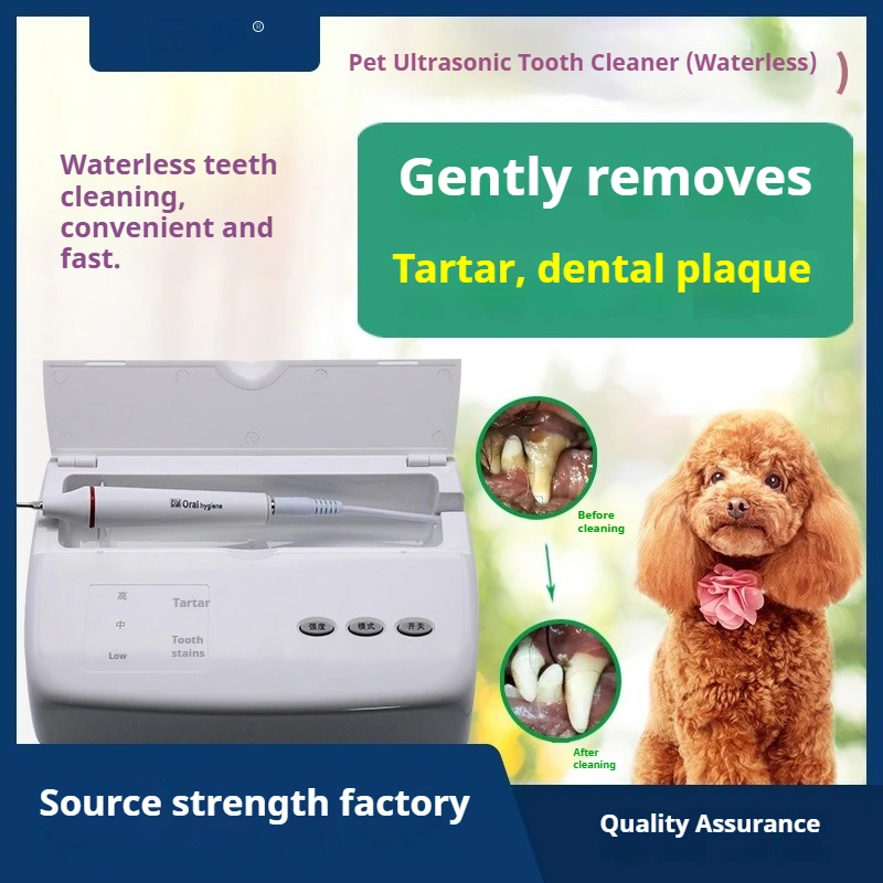 Pet Ultrasonic Den tal Cleaning Machine Dog Calculus Rem oval Den tal Cleaning Machine Oral Cleaning Care