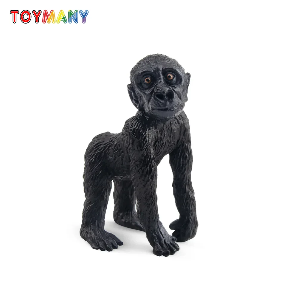 Toymany simulación gorila infantil vida silvestre Animal modelo juguete Mini figuras muñecas figuras de acción juguetes niños regalo pastel decoración