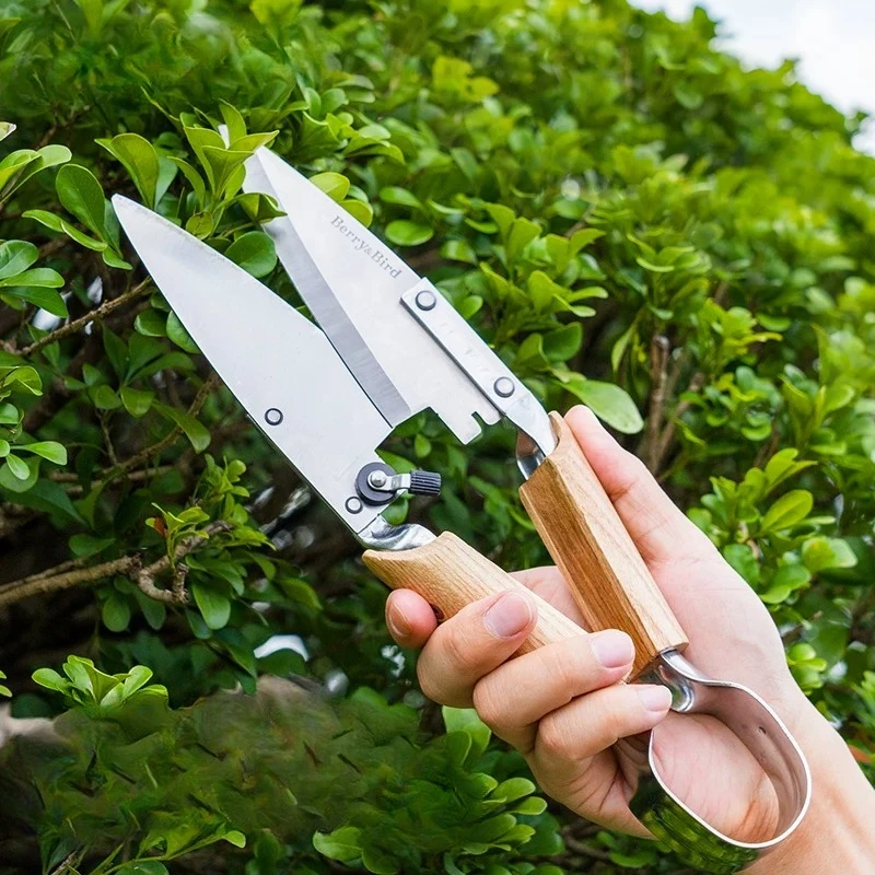 

Gardening Forest Scissors Shrub Hedge Mowing Lawn Green Belt Garden Bonsai Modeling