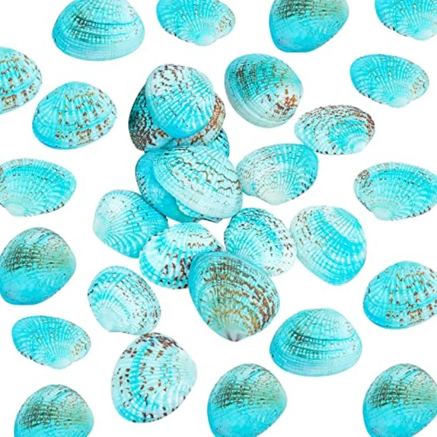35pcs Natural Seashell Bead, 32~37mm Undrilled Dyed Scallop Sea Shell Bead Clam Beach Seashell for Jewelry Candle Making Home P