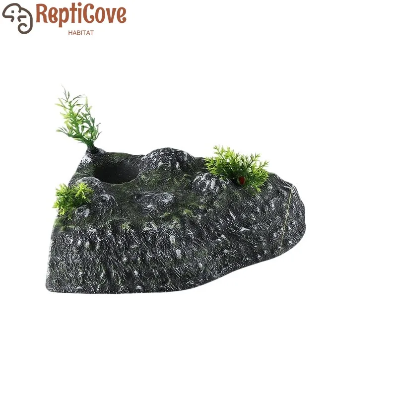 Turtle Floating Isl…