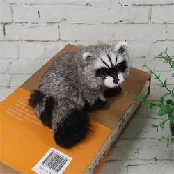 About 12x10cm Simulation Raccoon hard model,polyethylene&furs Raccoon Handicraft prop,home decoration toy gift w1100