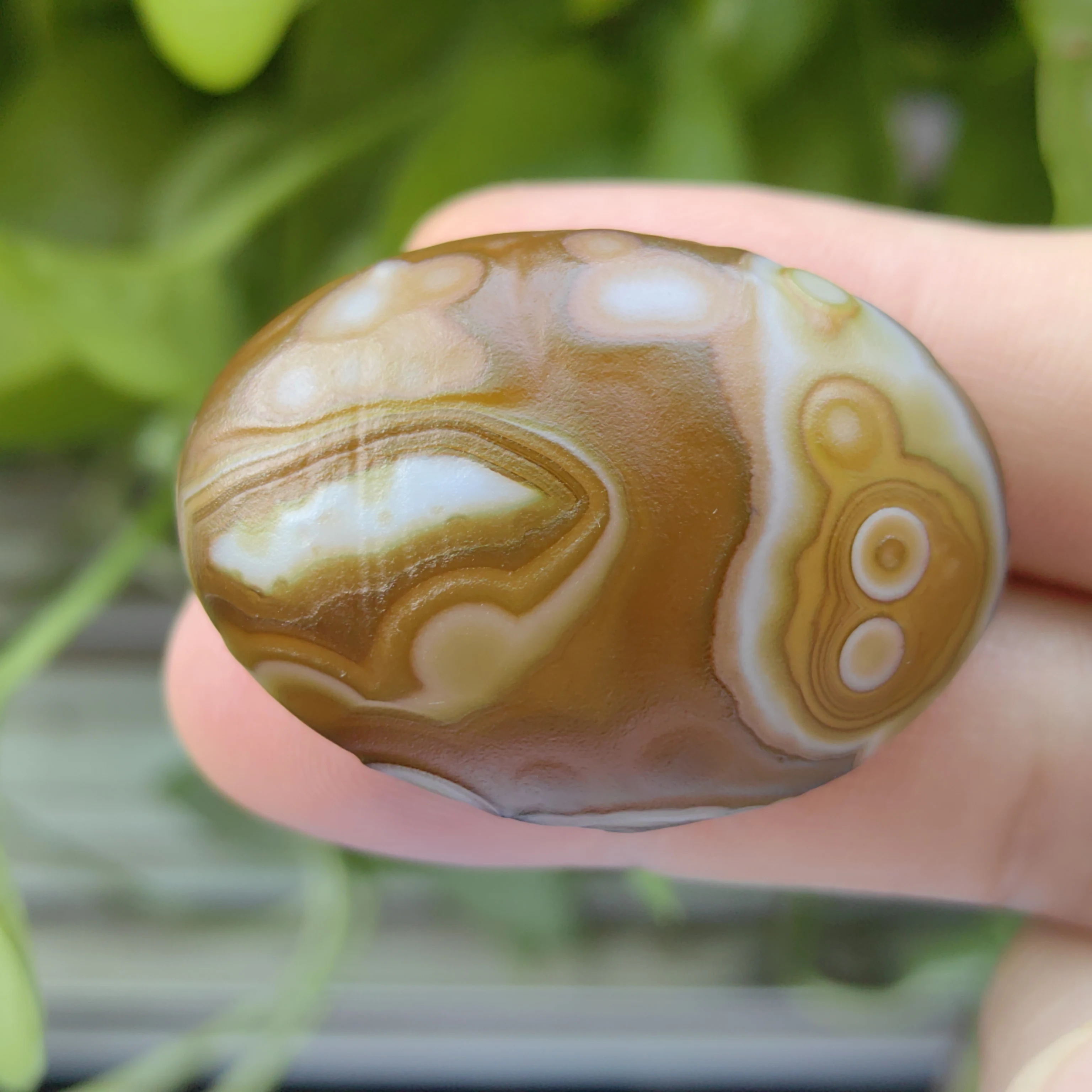  All-Natural Wishing Agate Crystal Good Luck Reiki Carnelian Healing Gemstone Minerals Rare Precious Gemstons Home Decor Gift