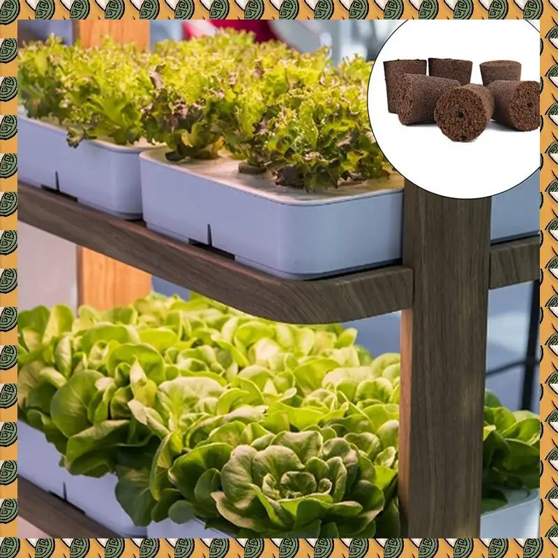 A77I 2X إسفنجة نمو النباتات للحديقة المائية والحديقة الداخلية إسفنجة ذكية مع مغذيات، جراب نمو بديل