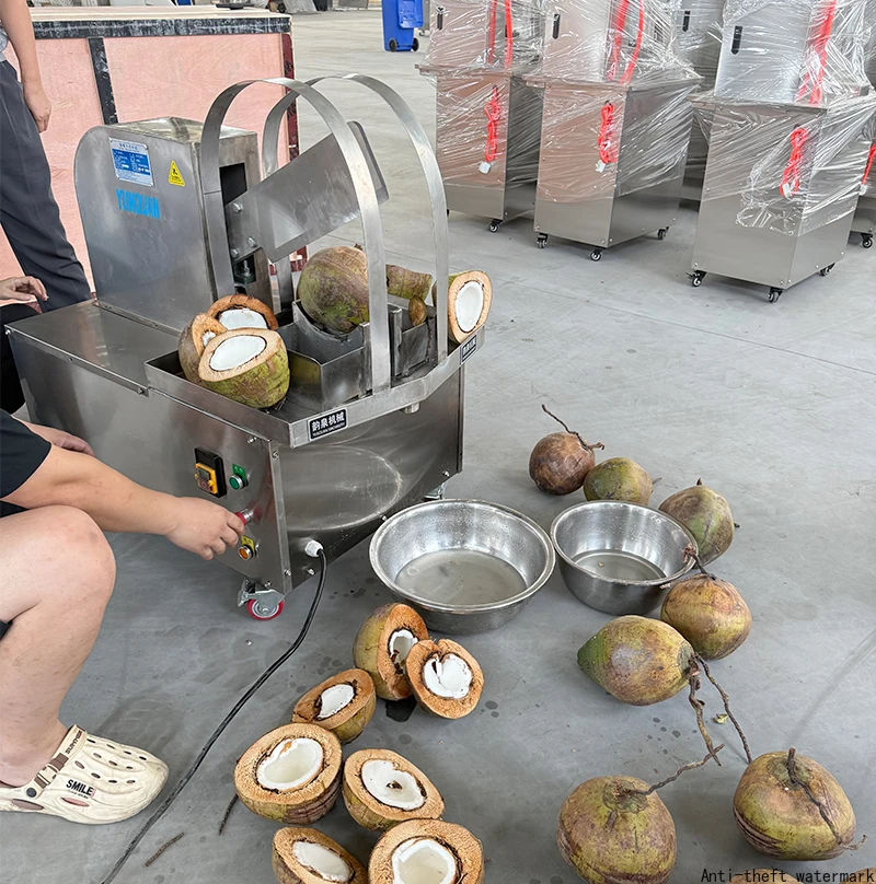 2026-Coconut halving machine, coconut shell cutter, professional and efficient fully automatic coconut halving machine