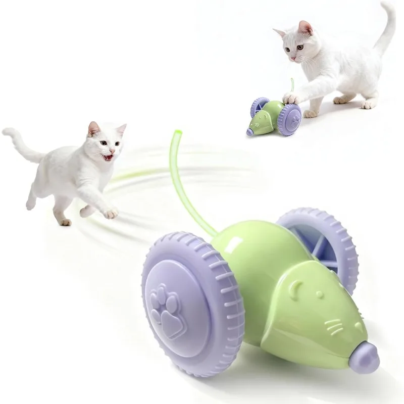 Rechargeable Intelligent Obstacle Avoidance Cat Car Toy Interactive Cat Toy Electric Mouse Car Automatic Teaser kitten Pet Toys