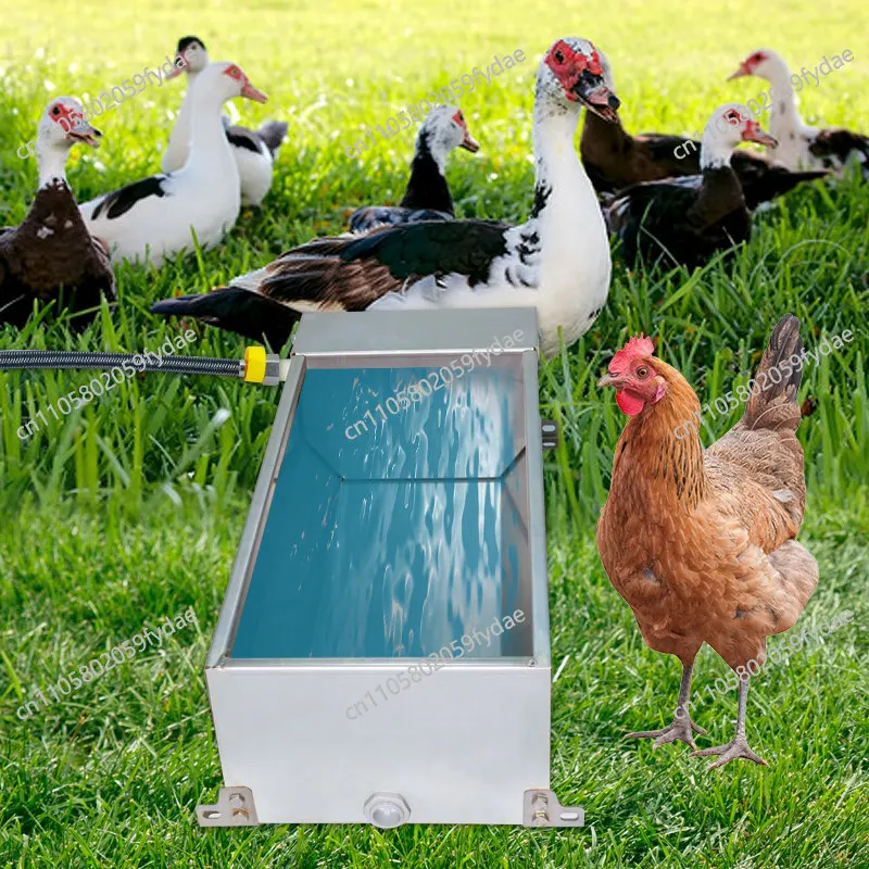 

Автоматическая поилка из нержавеющей стали для кур, уток и гусей, поилка для коров и овец