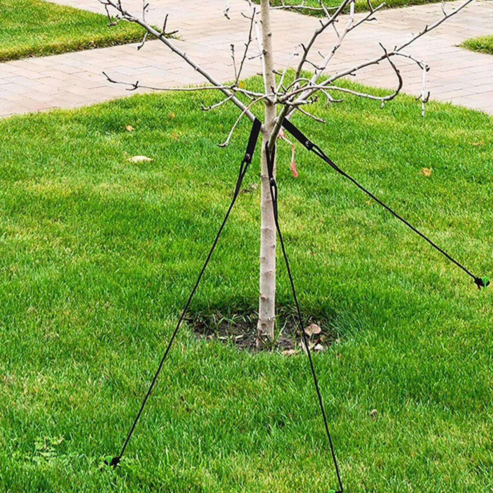 Tree Stakes Weather-Resistant Tie-Down Heavy Duty Tree Stake Kit For Against Bad Weather Wind Protection Trampoline Shed