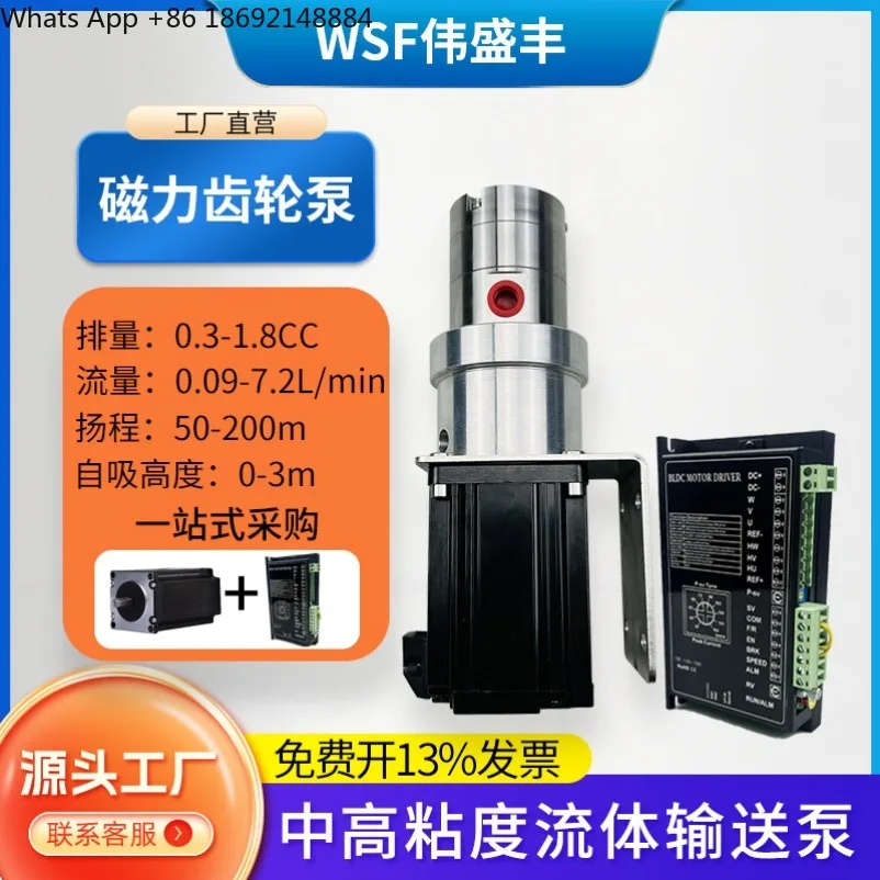 Small Magnetic Gear Pump High Viscosity Fluid Transfer Metering Pump High Pressure Circulation Acid Alkali Resistant Pump