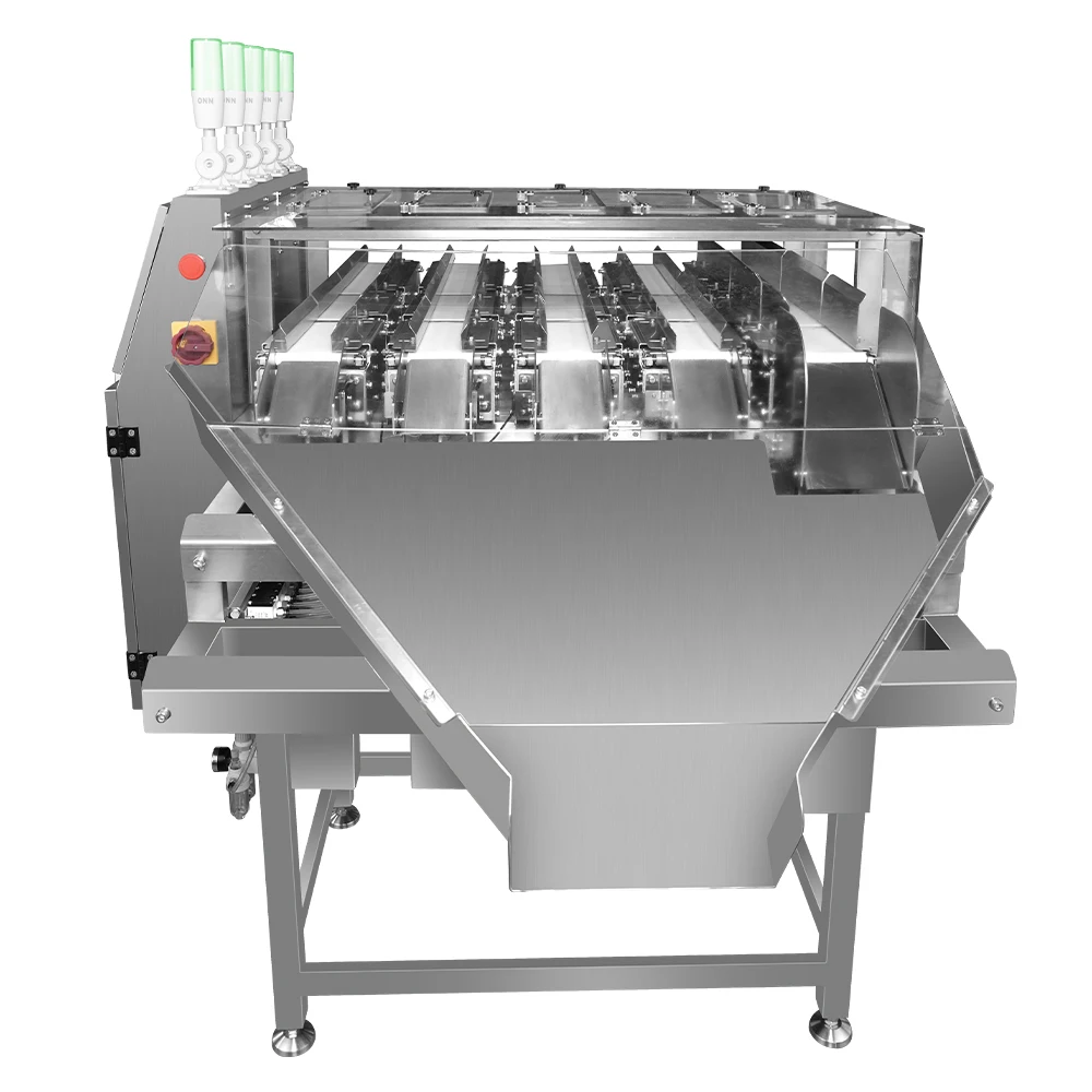 5-Lane Multi-function Checkweigher for Toy Production Lines